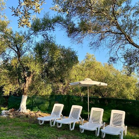 Endless Green: Feel Free And Cozy In Nature Perivólion Extérieur photo