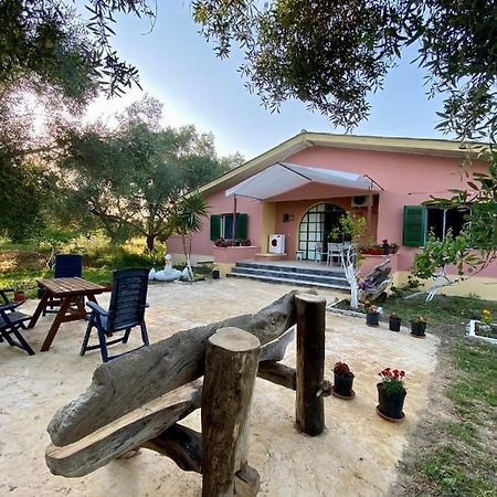 Endless Green: Feel Free And Cozy In Nature Perivólion Extérieur photo