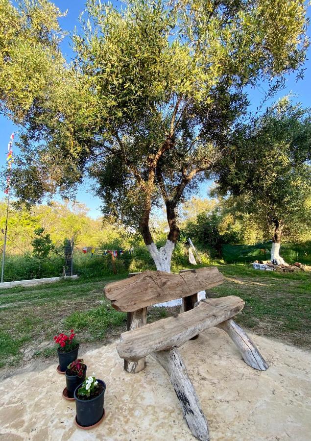 Endless Green: Feel Free And Cozy In Nature Perivólion Extérieur photo