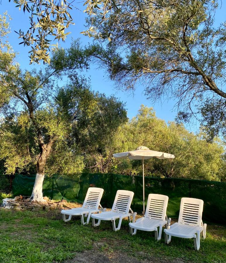 Endless Green: Feel Free And Cozy In Nature Perivólion Extérieur photo