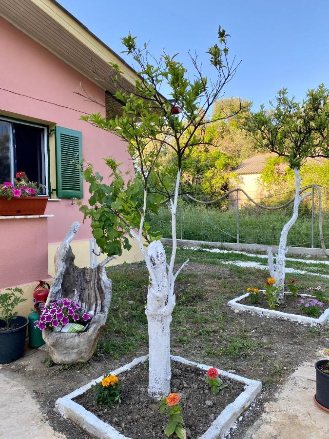 Endless Green: Feel Free And Cozy In Nature Perivólion Extérieur photo
